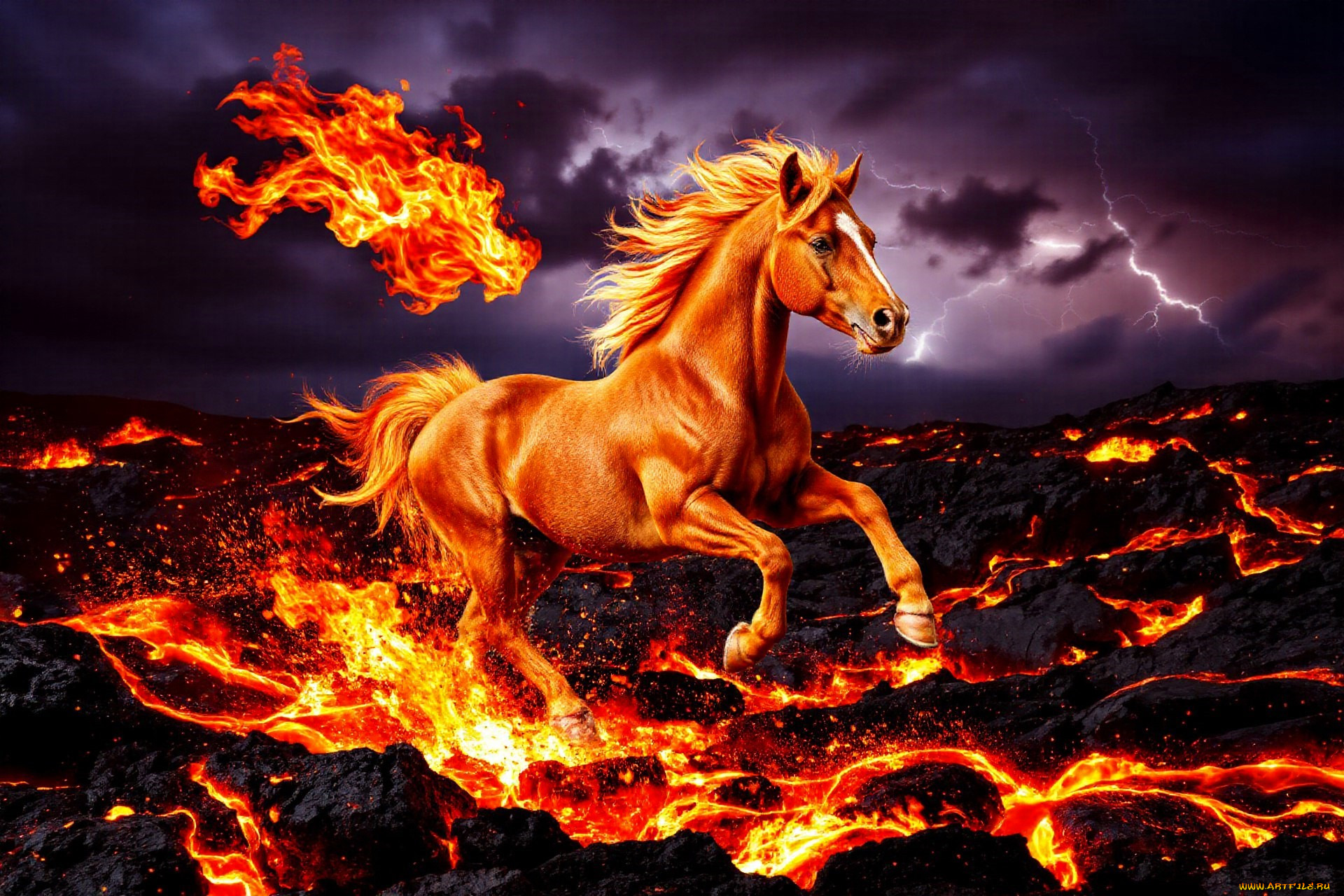 3� �������, �������� , animals, ������, �����, ����, ����, ������